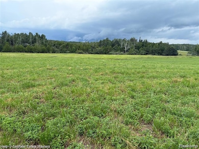 300 E Hubert Rd, Spruce, MI 48762 - photo 3