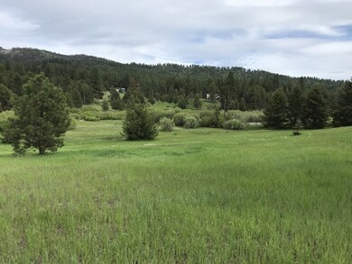 228 Clear Creek Rd unit 2, Cascade, ID 83611 - photo 2