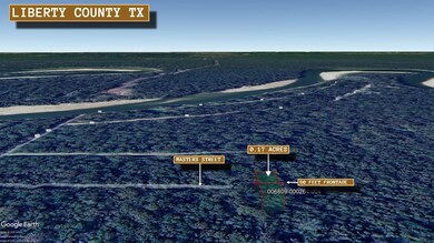 Magutre Alley, Cleveland, TX 77327 - photo 5