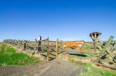 Short walk to Cowiche Canyon Conversancy