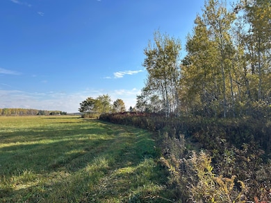 ON Cth B, Antigo, WI 54424 - photo 4