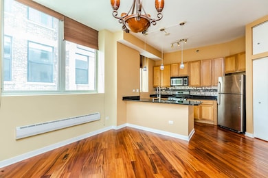 Lakeside Tower Condominiums unit 501, Chicago, IL 60616 - photo 4