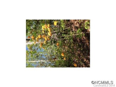 Flame Azalea in Bloom