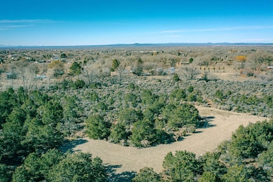 2008 Cottontail Rd, Taos, NM 87571 - photo 6