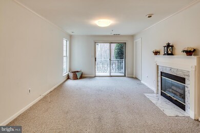 2 Tyler Falls Ct unit L, Baltimore, MD 21209 - photo 4