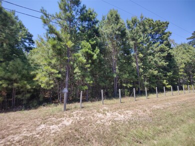 0 Fantail, Magnolia, TX 77355 - photo 6