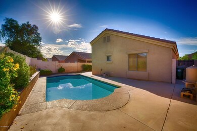 Backyard/Pool