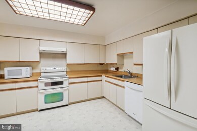 3 Southerly Ct unit 201, Towson, MD 21286 - photo 3