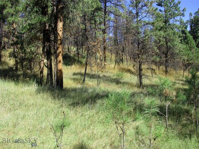 15 Bobcat Ln unit 15, Roundup, MT 59072 - photo 3