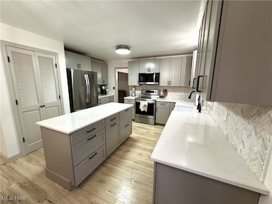 8359 Gibson Rd, Canfield, OH 44406 - photo 6