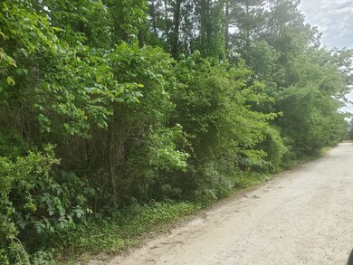 Lot 3 Magnolia Springs, Plantersville, TX 77363 - photo 5