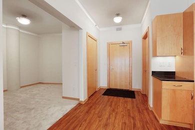 401 N 2nd St unit 305, Minneapolis, MN 55401 - photo 7