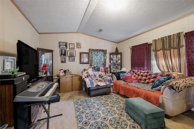 Carpeted living area featuring lofted ceiling, or