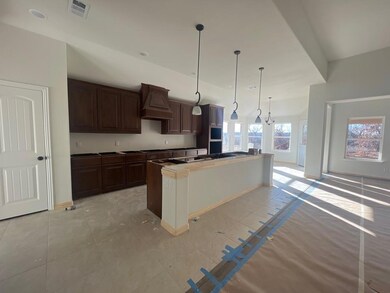 1029 Northern Oaks Ct, Springtown, TX 76082 - photo 4