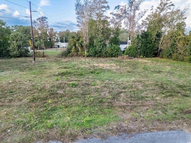 1015 Atlantic St, Atlantic Beach, SC 29582 - photo 5