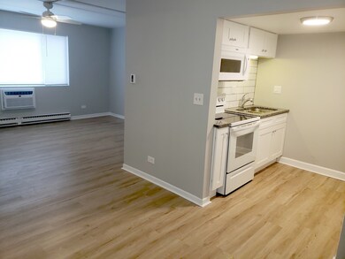 315 Kimbell Ave unit 12, Elmhurst, IL 60126 - photo 4