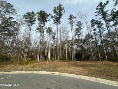 1007 Parchment Bluff