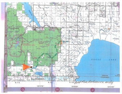 0 Us Forest Rd 4020 unit 3007601, Lakeview, OR 97630 - photo 2