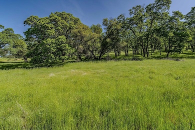 10991 Sunset Dr, Sutter Creek, CA 95685 - photo 3