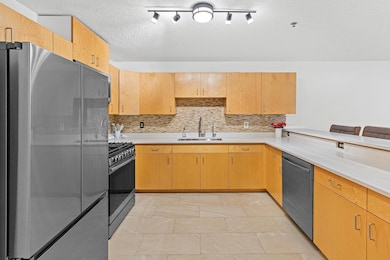 4845 W 123rd St unit 203, Savage, MN 55378 - photo 7