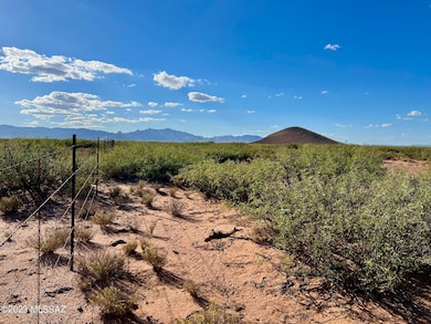 40 Acres!