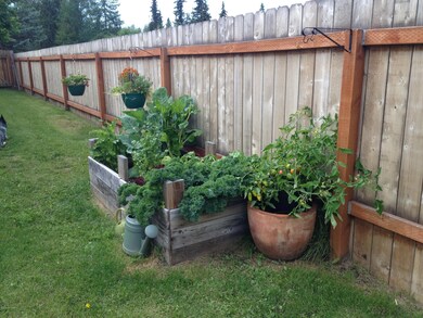 Backyard - raised bed garden & side yard
