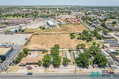 1307 E Snyder St, Hobbs, NM 88240 - photo 3