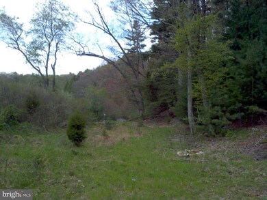 0 Native Trout Ln unit 1003504916, Moyers, WV 26815 - photo 7