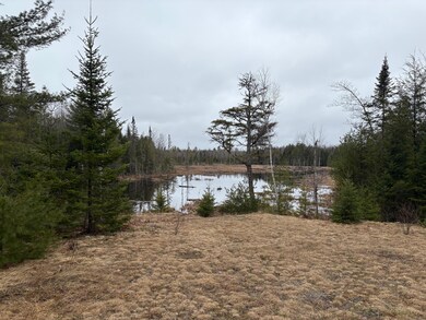 IMG_3767 (1)