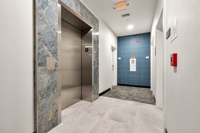 16 Taber St unit 502, Boston, MA 02119 - photo 4