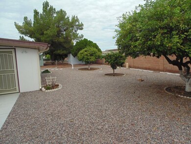 Shed and Fruit Trees