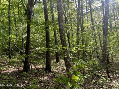 658 Peavine Firetower Rd, Crossville, TN 38571 - photo 4