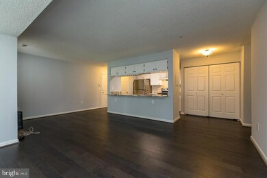 2603 Camelback Ln unit 3, Silver Spring, MD 20906 - photo 5