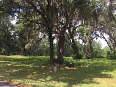 Lot 50 Cooper's Point Dr, Shellman Bluff, GA 31331 - photo 3