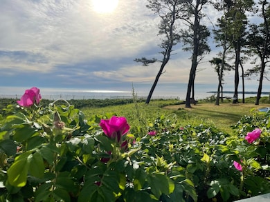 825 Main St, Vineyard Haven, MA 02568 - photo 7