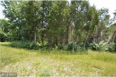 0 Gleedsville Rd unit 1004179568, Leesburg, VA 20175 - photo 4