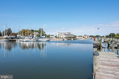 900 Marshy Cove unit 207E, Cambridge, MD 21613 - photo 5