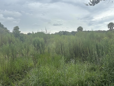 0 NW 294th St, Okeechobee, FL 34972 - photo 2