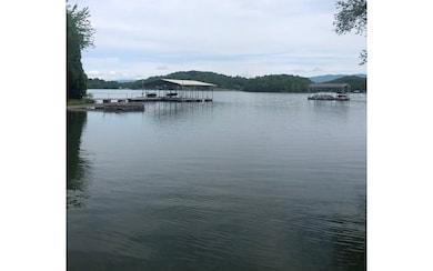 LT 16 Omega Way, Hiawassee, GA 30546 - photo 4