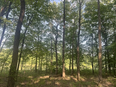 0 Excalibur Trail unit RTC3050266, Cedar Grove, TN 38321 - photo 4