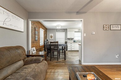 20 Tulip Dr, Lincoln, IL 62656 - photo 6