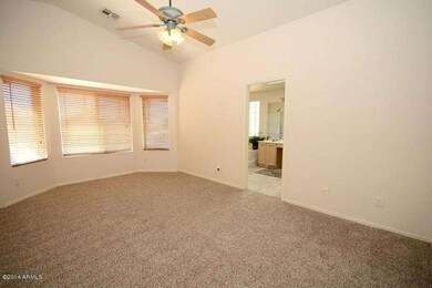 7147 E Jan Ave, Mesa, AZ 85209 - photo 4