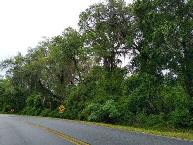 0 SE County Road 349, Lake City, FL 32025 - photo 5
