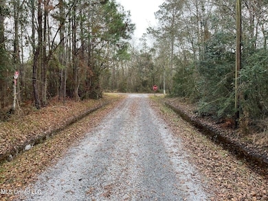 20250312205925119752000000-o