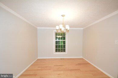 8304 Old Tree Ct, Springfield, VA 22153 - photo 6