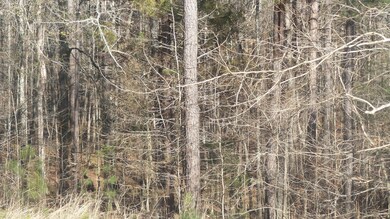 2202 Partridgeotwn Rd, Lincolnton, GA 30817 - photo 7