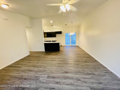 325 Valle Bonita St, Farmington, NM 87401 - photo 6