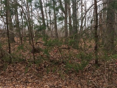 0 Rosemont Rd unit 961174, Asheboro, NC 27203 - photo 3