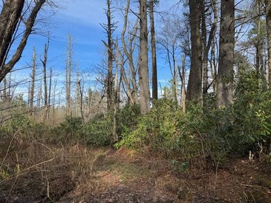 001 Joe Poore Rd, Newland, NC 28657 - photo 6