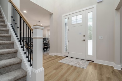 Scots_Pine_Circle_8303_Kalamazoo_49009-3